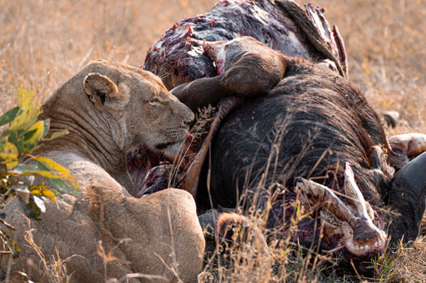 Gallery impression 8